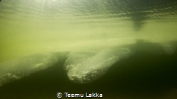 Edge, Edge of underwater ice. by Teemu Lakka 